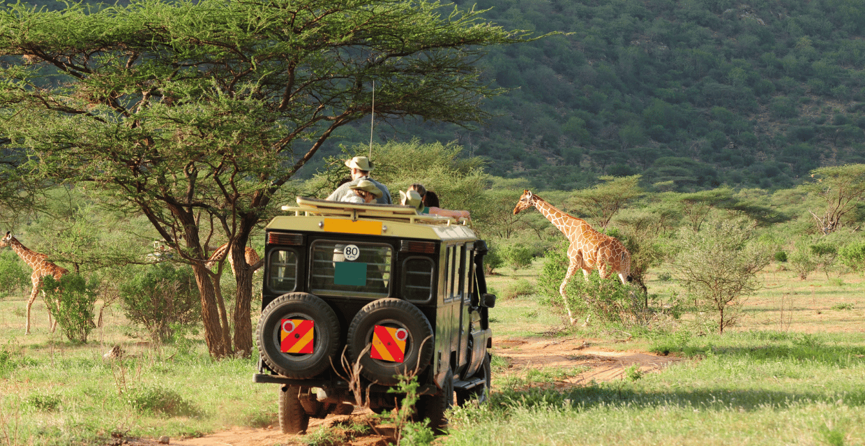 Safari in jeep tra le giraffe nella savana del Kenya