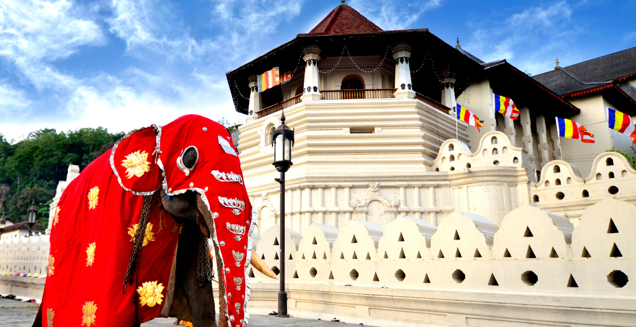SRI LANKA5
