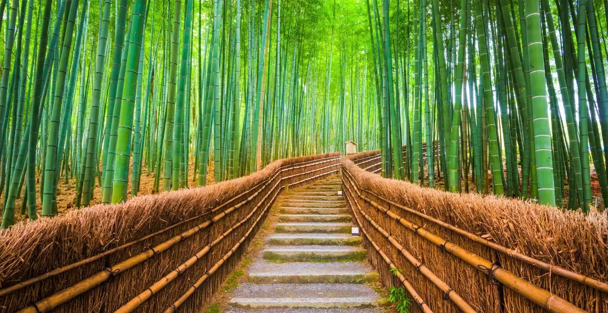 kyoto